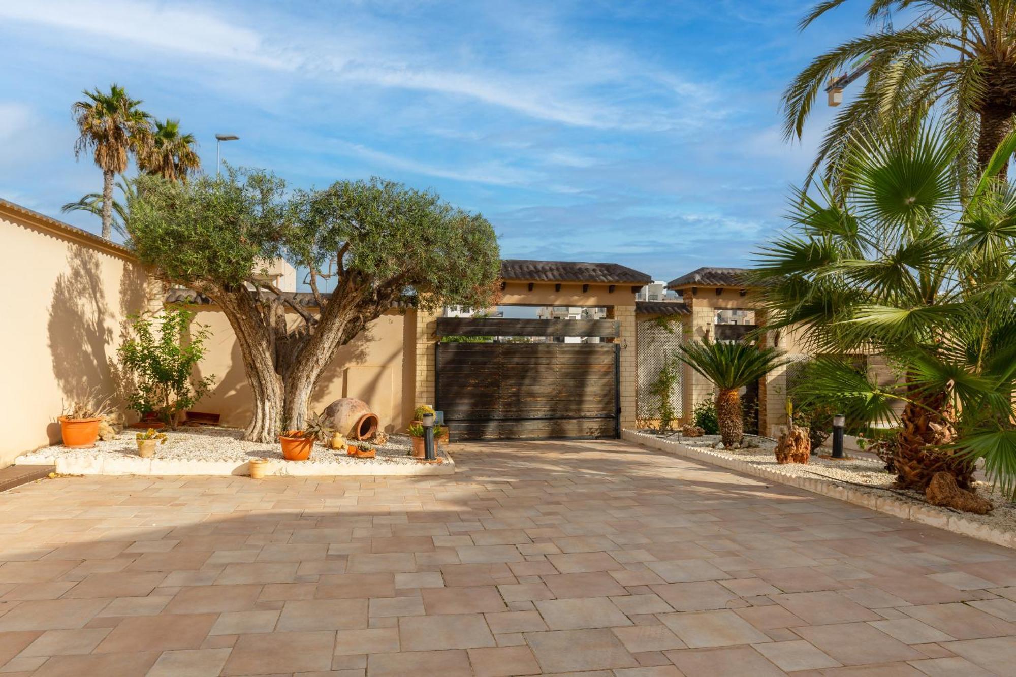 Paradise Palms By Fidalsa Dehesa de Campoamor  Ngoại thất bức ảnh